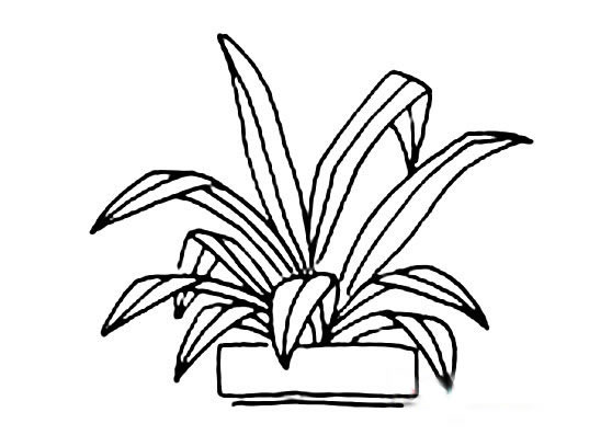綠植小盆栽簡筆畫