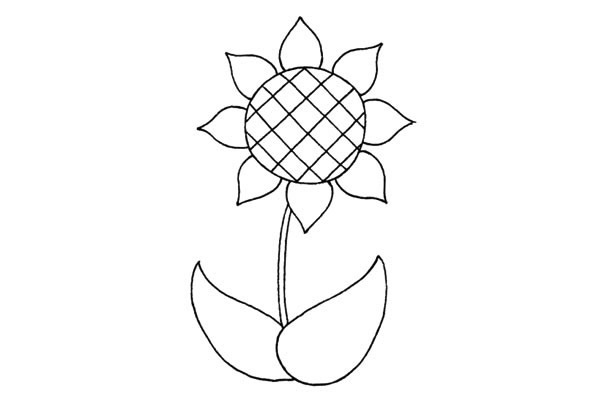 兒童學畫向日葵的畫法步驟教程