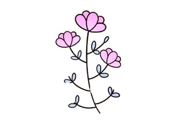 一枝漂亮的小花簡筆畫教程