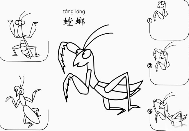 螳螂簡(jiǎn)筆畫 螳螂簡(jiǎn)筆畫