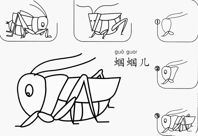 蟈蟈簡筆畫
