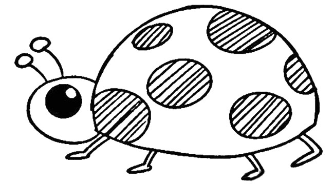 金龜子簡(jiǎn)筆畫 金龜子簡(jiǎn)筆畫