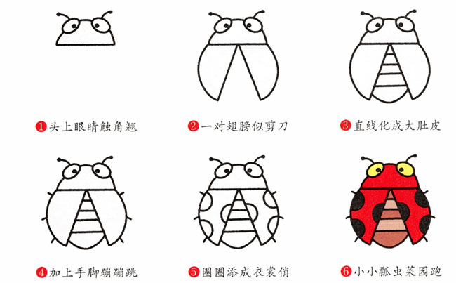 七星瓢蟲簡筆畫步驟