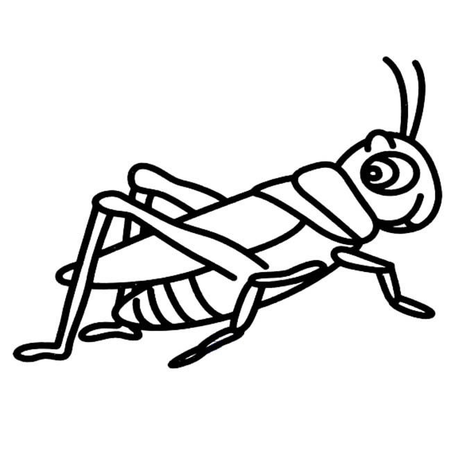 蝗蟲簡筆畫