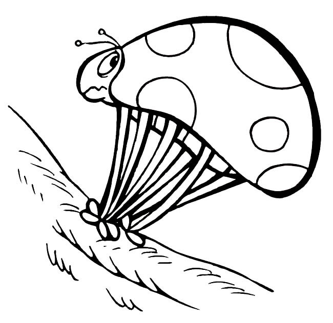一只七星瓢蟲簡筆畫