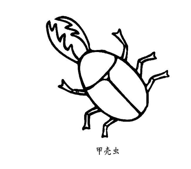 甲殼蟲簡筆畫