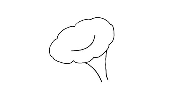 帶顏色的喇叭花怎么畫？