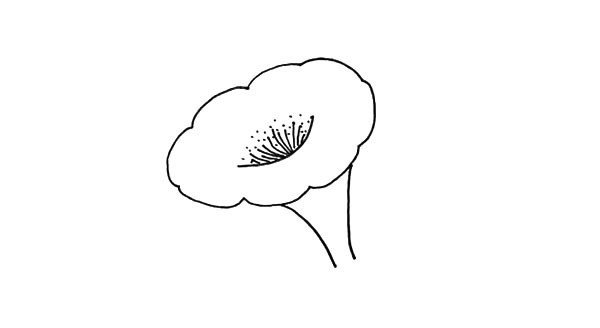 帶顏色的喇叭花怎么畫？