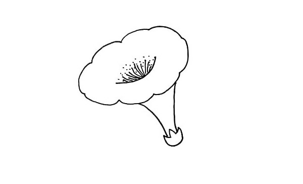帶顏色的喇叭花怎么畫？