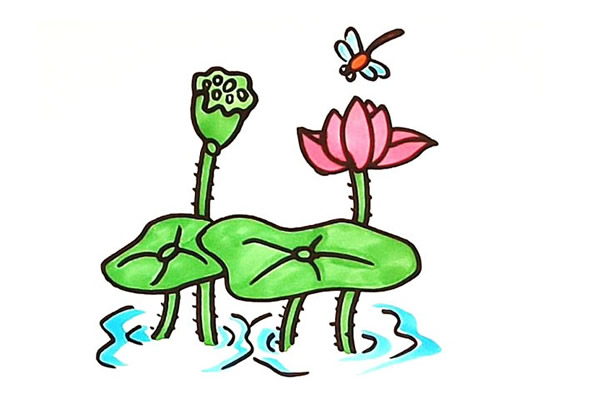 一步步教你畫漂亮的荷花