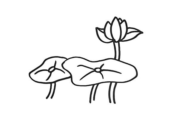 一步步教你畫漂亮的荷花