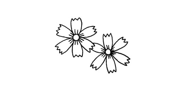 幾朵小菊花簡(jiǎn)筆畫(huà)教程
