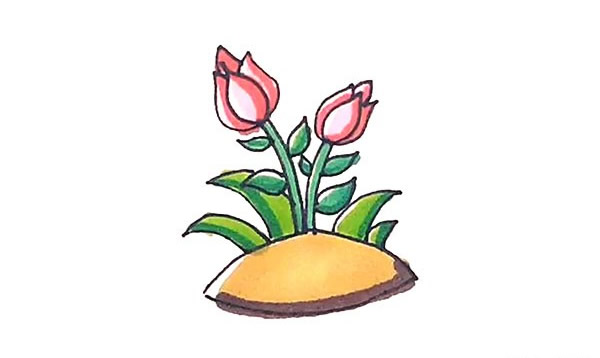 涂色的月季花簡筆畫步驟