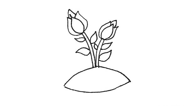 涂色的月季花簡筆畫步驟