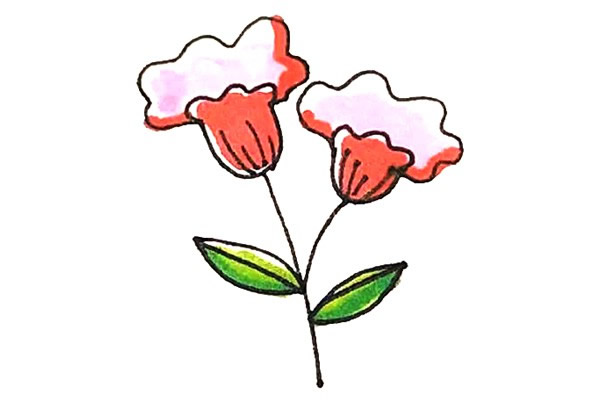 雞冠花怎么畫 涂色的雞冠花簡筆畫