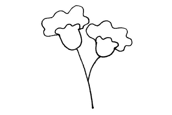 雞冠花怎么畫 涂色的雞冠花簡筆畫