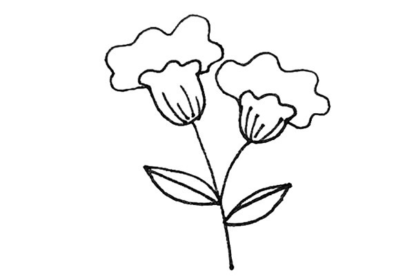 雞冠花怎么畫 涂色的雞冠花簡筆畫