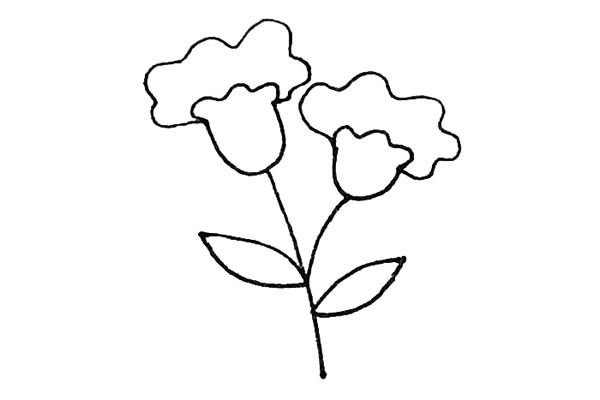 雞冠花怎么畫 涂色的雞冠花簡筆畫