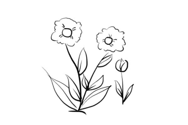 5款各不相同的小花簡筆畫