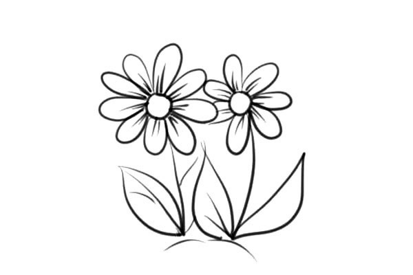 兩朵小花的簡筆畫
