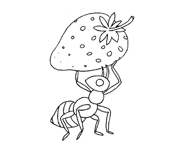 搬運草莓的螞蟻簡筆畫