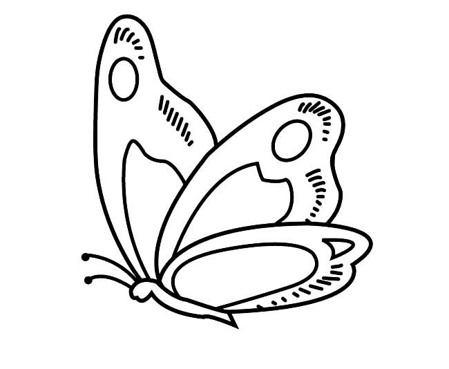 蝴蝶怎么畫簡單又漂亮