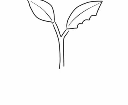 吃樹葉的毛毛蟲簡筆畫