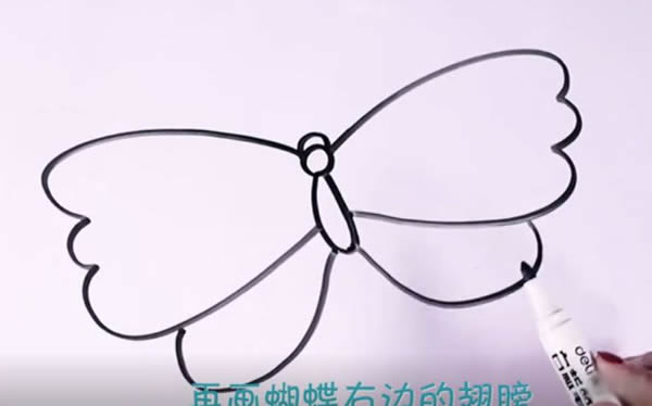 簡(jiǎn)筆畫(huà)蝴蝶的畫(huà)法步驟