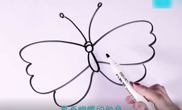 簡(jiǎn)筆畫(huà)蝴蝶的畫(huà)法步驟
