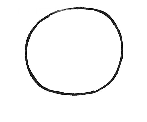 四步學(xué)會(huì)話七星瓢蟲(chóng)