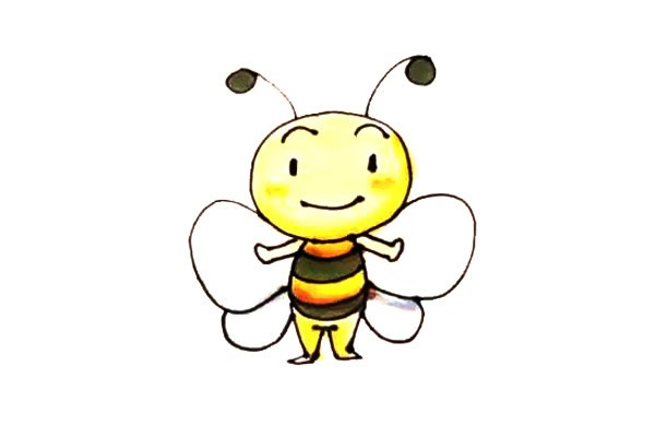 一步步教你畫蜜蜂簡筆畫