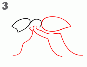 一步步學(xué)會(huì)畫(huà)螞蟻