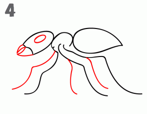 一步步學(xué)會(huì)畫(huà)螞蟻