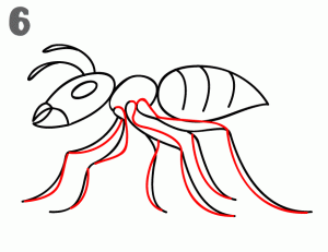 一步步學(xué)會(huì)畫(huà)螞蟻