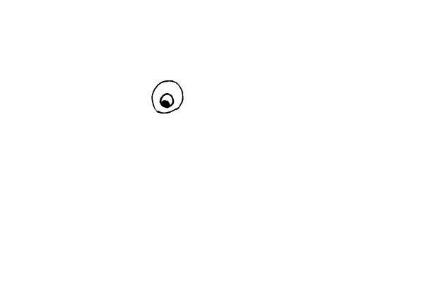 蜻蜓點(diǎn)水簡(jiǎn)筆畫步驟