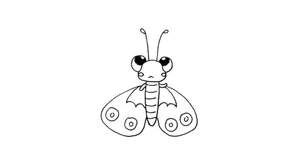 色彩斑斕的蝴蝶簡(jiǎn)筆畫