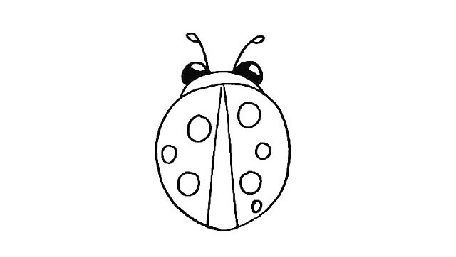 七星瓢蟲(chóng)簡(jiǎn)筆畫(huà)詳細(xì)步驟