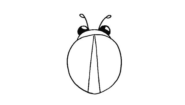 七星瓢蟲(chóng)簡(jiǎn)筆畫(huà)詳細(xì)步驟
