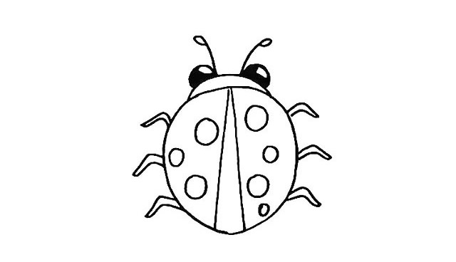 七星瓢蟲(chóng)簡(jiǎn)筆畫(huà)詳細(xì)步驟