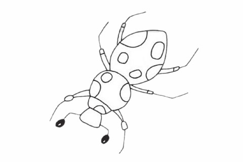一組甲蟲簡筆畫圖片大全