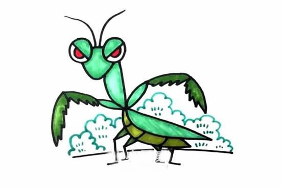 彩色卡通螳螂簡筆畫