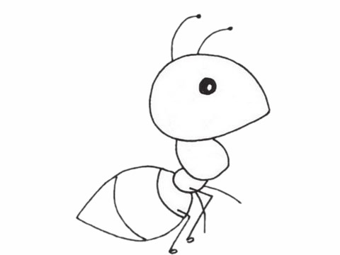 一組螞蟻簡(jiǎn)筆畫(huà)圖片大全
