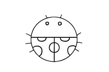一組七星瓢蟲兒童簡筆畫