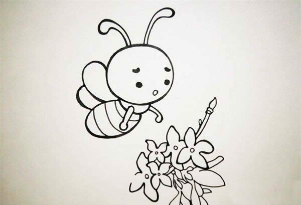 采蜜的小蜜蜂簡筆畫