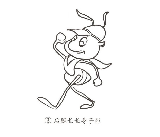 帶顏色的卡通螞蟻簡筆畫