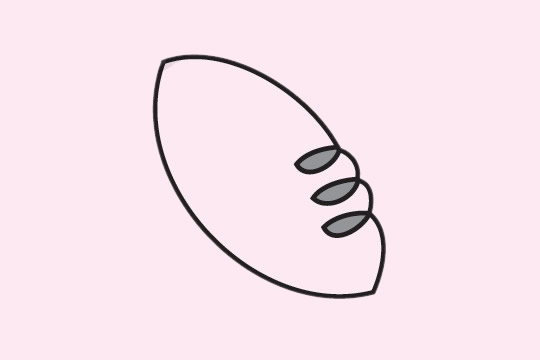 分享幾幅橄欖球的簡(jiǎn)筆畫
