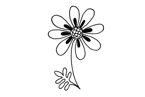 一步步教你畫菊花簡筆畫