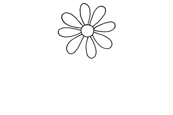 一步步教你畫菊花簡筆畫