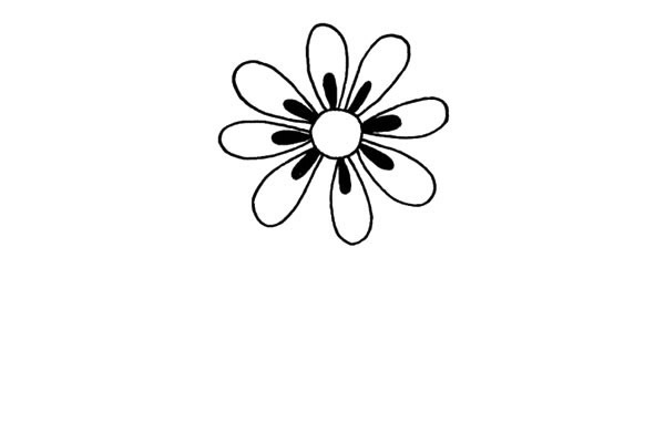 一步步教你畫菊花簡筆畫