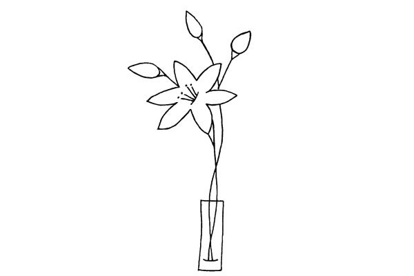 瓶子里的百合花簡筆畫